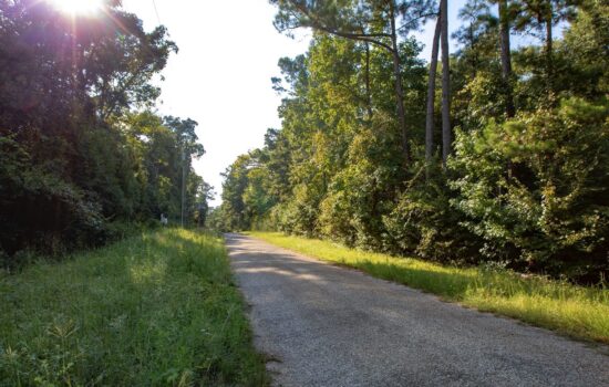 Wooded Homesite with Utilities near Lake Livingston & Houston